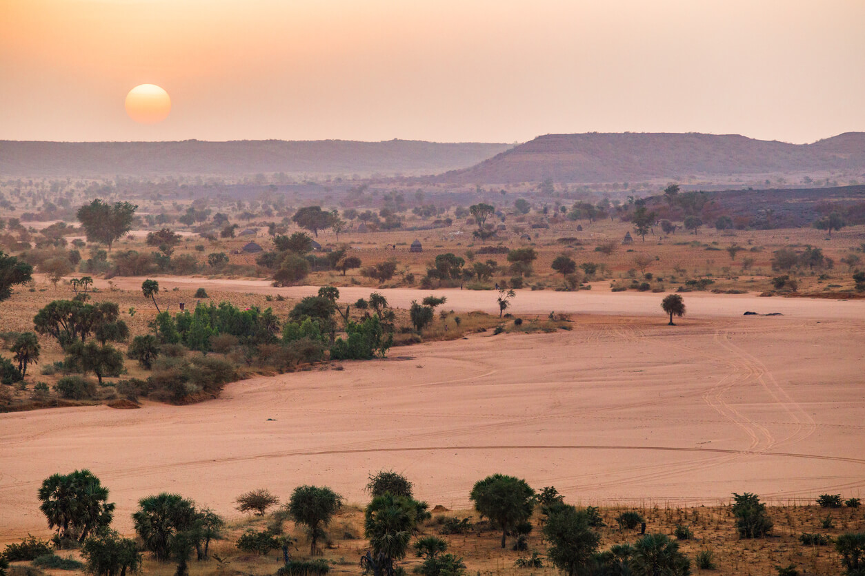 Niger, Déchéance de nationalité