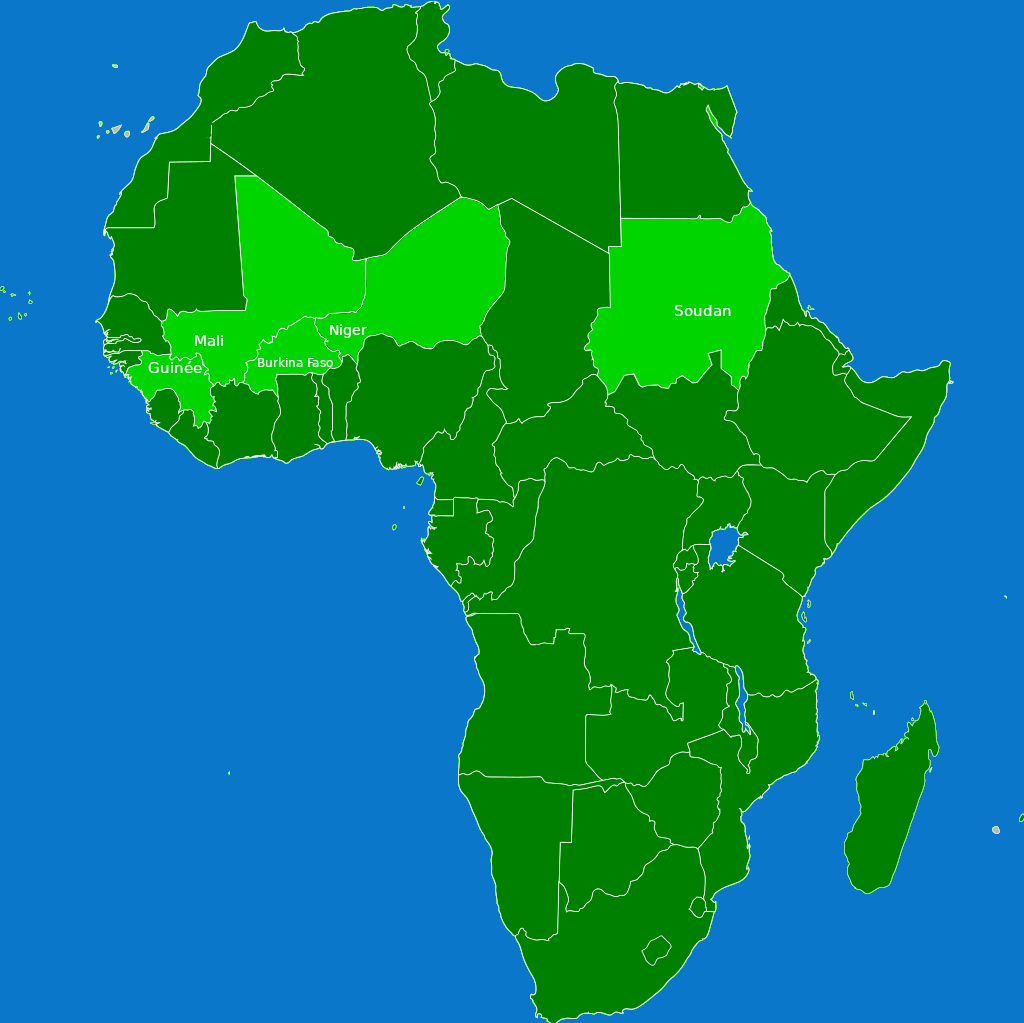 Le Niger suspendu de l'UA