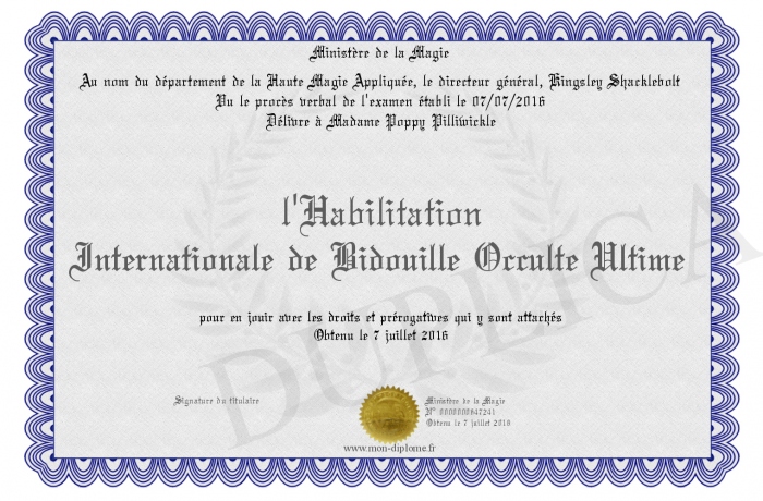 diplome de la bidouille